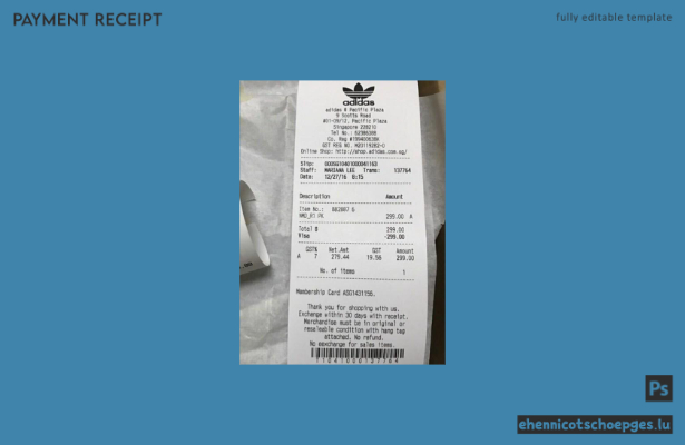 Adidas Store Zahlungsprüfung – Beispielvorschau